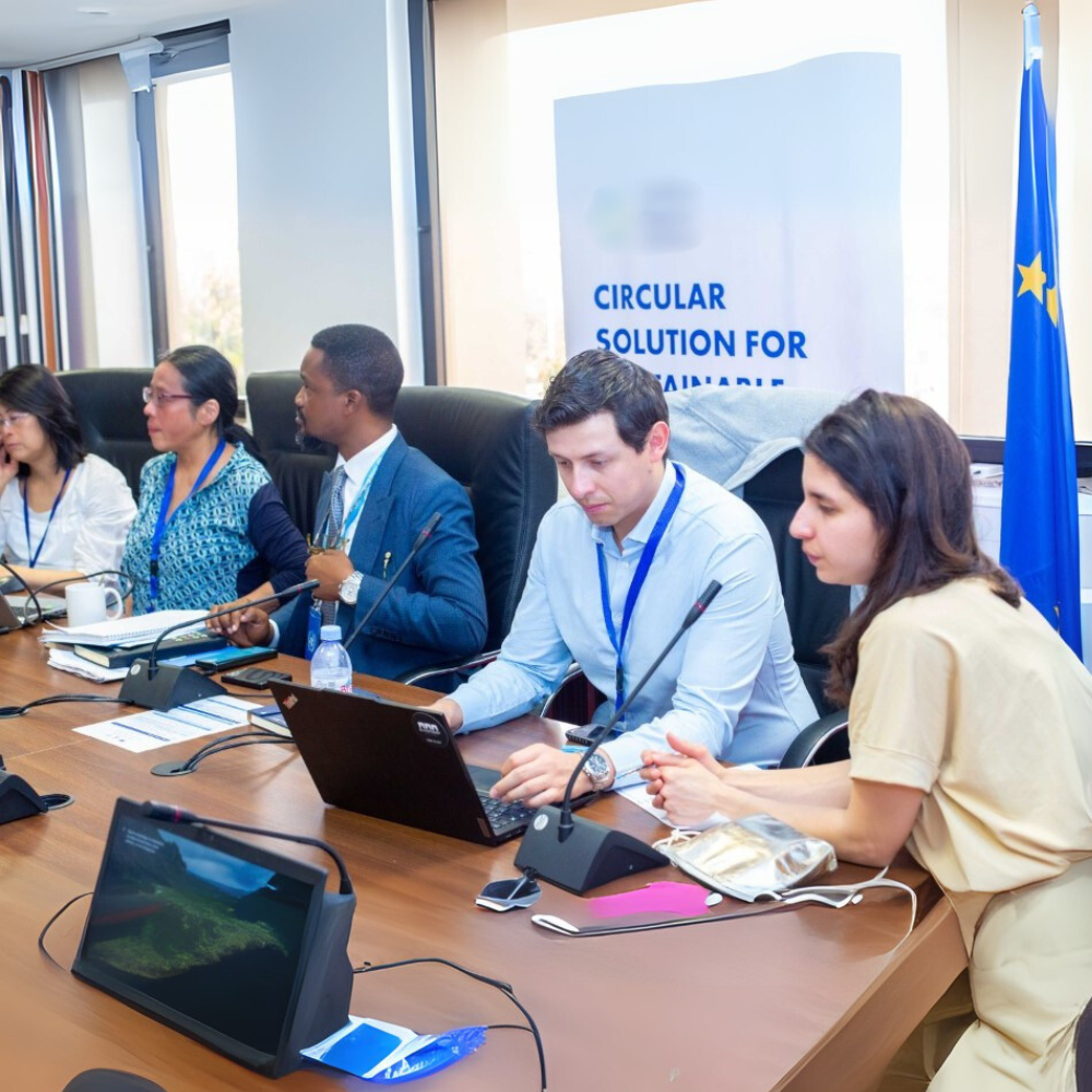 Green Entrepreneurship 2025