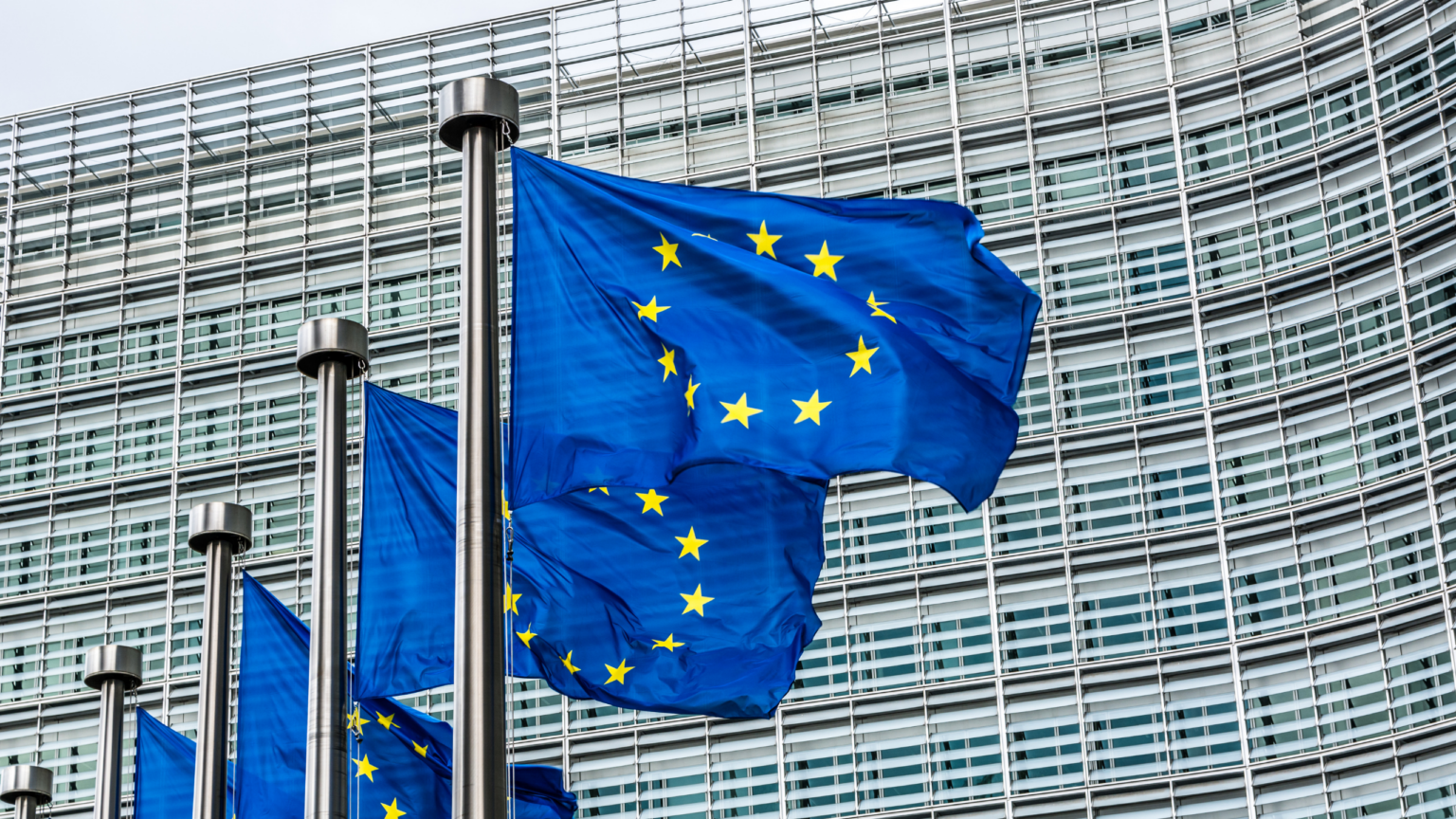 _EU WSR DIWASS 2026